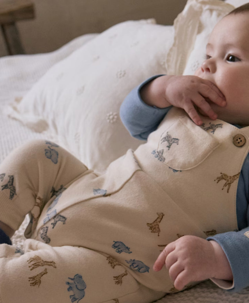 Newborn Boy Printed Dungaree & T-Shirt Set 2618